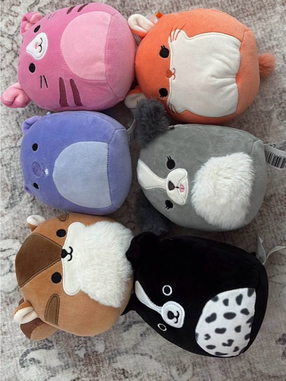 Squishmallows set of 6